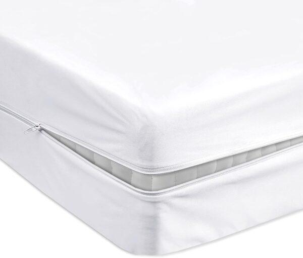 Waterproof Mattess Encasement