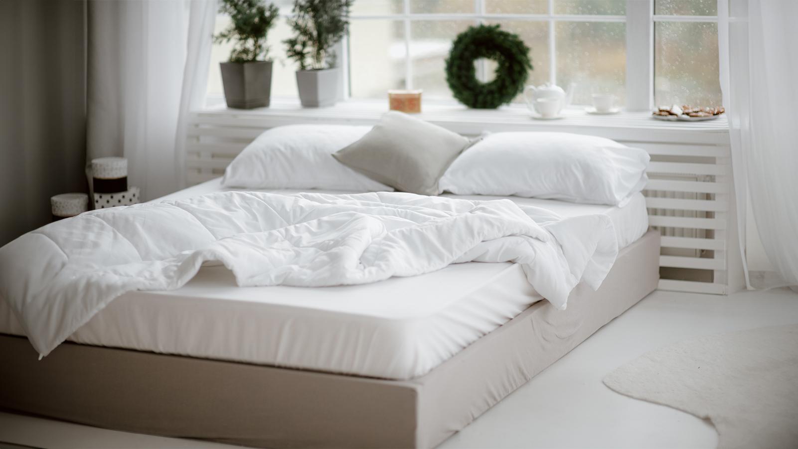 Mattress Protector