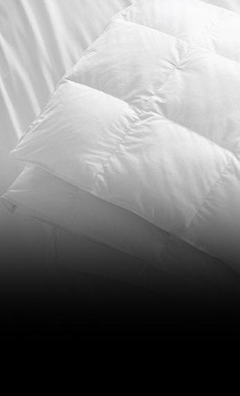 Duvet Insert